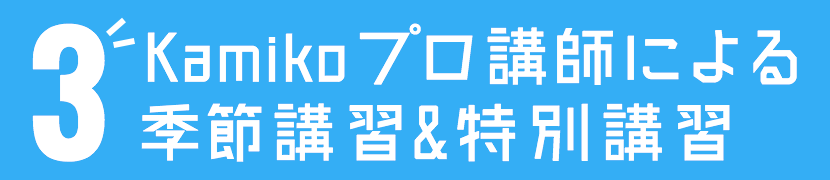 3 Kamikoプロ講師による季節講習&特別講習