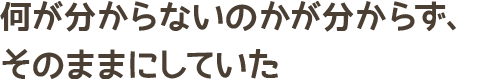 何が分からないのかが分からず、そのままにしていた